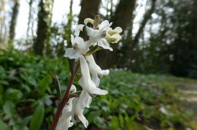 Algemene Ledenvergadering 31 maart 2026